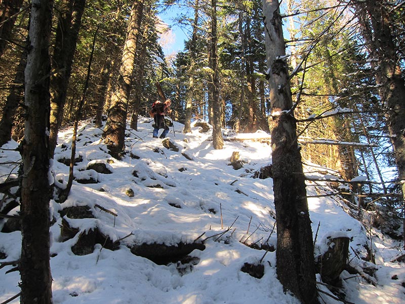 schwarzkogel